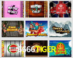 6666TIGER.Com