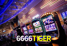 6666TIGER.Com