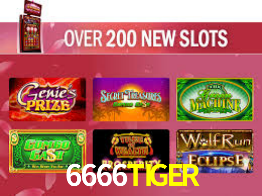 6666TIGER.Com